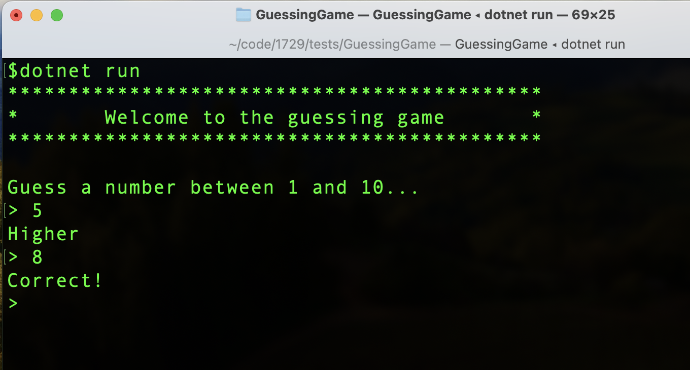 Guessing game in terminal
